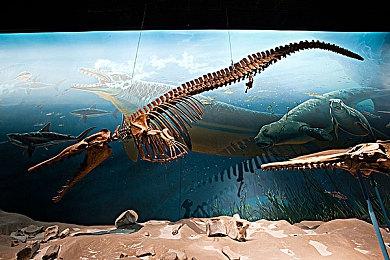 肉鸽+派对=夏日欢乐炸弹！多人FPS黑马《酷玩乱斗》登录steam平台